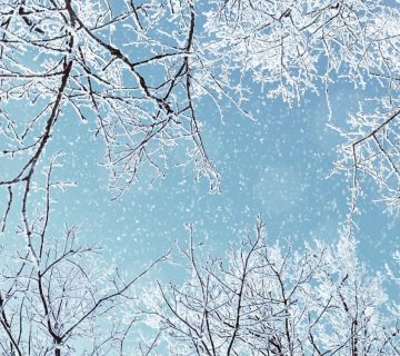 winter-tips-krullen